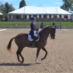 First Grand Prix for Flirt