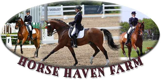 Horse Haven Harms